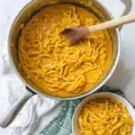 Creamy Chicken and Noodle Soup Recipe