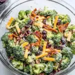 Broccoli Salad Recipe