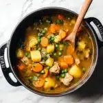 Instant Pot Chicken Stew Recipe