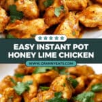 Instant Pot Honey Lime Salsa Verde Chicken Recipe