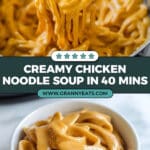 Creamy Chicken and Noodle Soup Recipe