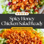 Honey Hot Chicken Salad Recipe