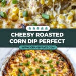 Roasted Corn Dip Recipe