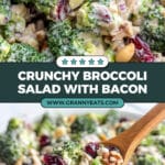Broccoli Salad Recipe