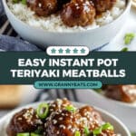 Instant Pot Teriyaki Meatballs Recipe
