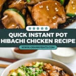 Instant Pot Hibachi Chicken Recipe