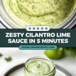 Creamy Garlic Lime Cilantro Sauce Recipe