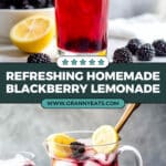 Homemade Blackberry Lemonade Recipe