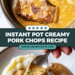 Instant Pot Sour Cream Pork Chops Recipe