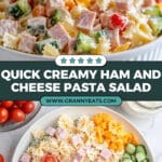 Creamy Pasta Salad Recipe