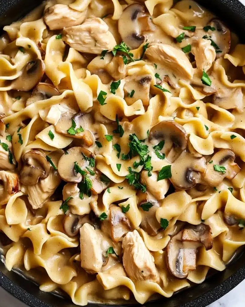 Chicken Stroganoff Recipe