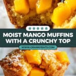 Mango Muffins Recipe