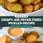 Air Fryer Fried Pickles Texas Road House Copy Cat Recipe