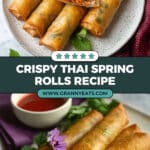 Best Crispy Spring Rolls - Thai Style Recipe