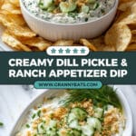 Fried Pickle and Ranch Dip Recipe