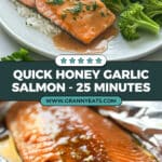Honey Garlic Salmon in Foil (Oven or Grill) Recipe