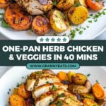 One Pan Herb Roasted Vegetables & Chicken Recipe