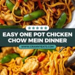 One Pot Chicken Chow Mein Recipe