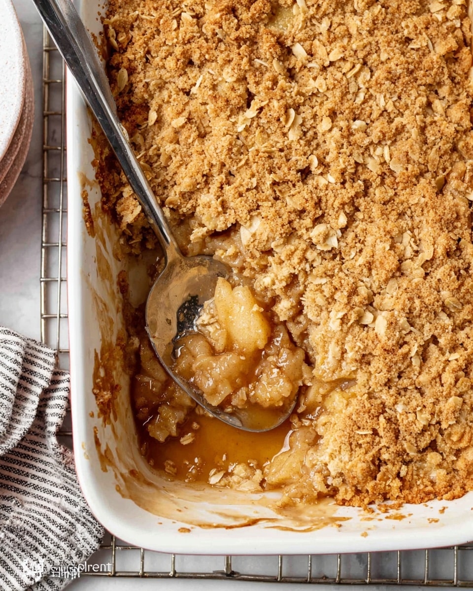 A white plate holds a serving of apple crisp topped with a round scoop of vanilla ice cream. The apple crisp has two layers: the bottom layer is soft, cooked apple slices in a light brown syrupy sauce, and the top layer is a crumbly, golden brown oat topping. The ice cream is smooth and creamy with visible tiny vanilla bean specks, sitting centrally on the crisp. A silver fork rests on the right edge of the plate. The plate is placed on a white marbled surface with a green apple blurred in the background. Photo taken with an iphone --ar 4:5 --v 7